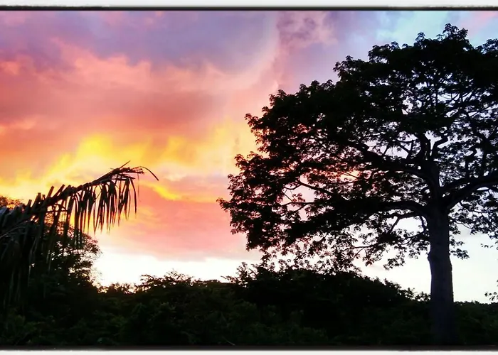 Casa Ceiba *
