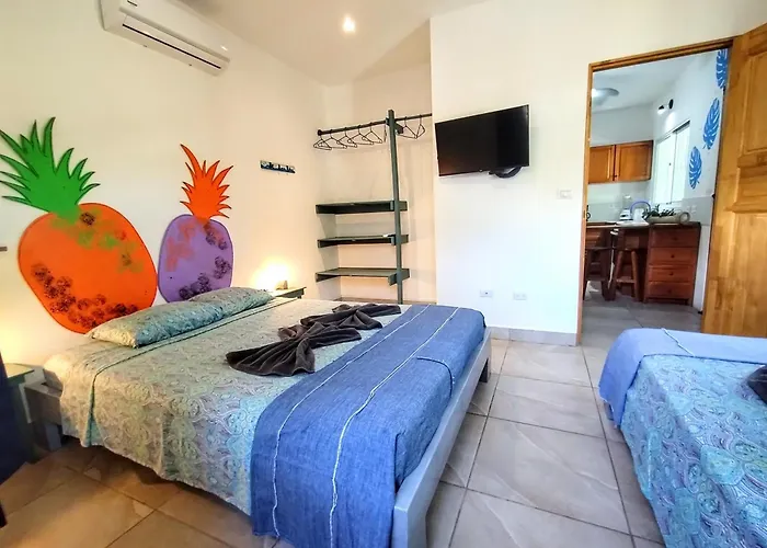 Casa Ceiba *